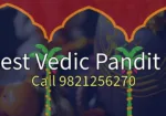 Vedic Pandit Ji in Bulandshahar
